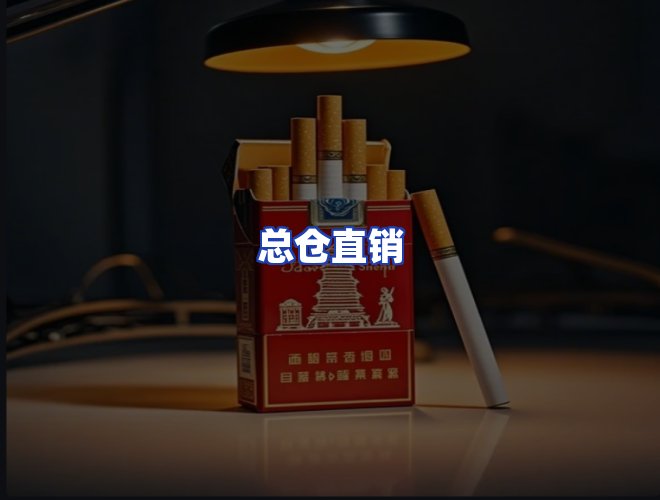 专业团队